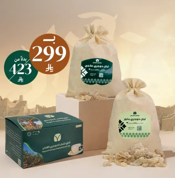 عرض يوم التأسيس السعودي